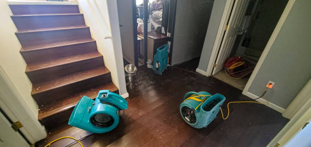 Best Sewage cleanup and water damage restoration  in High Point, NC